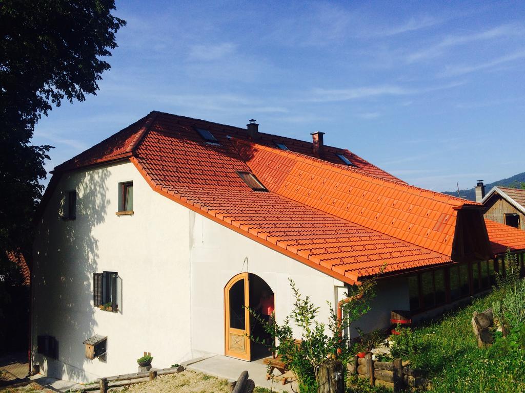 Turisticna Kmetija Toman Vila Gornji Grad Exterior foto