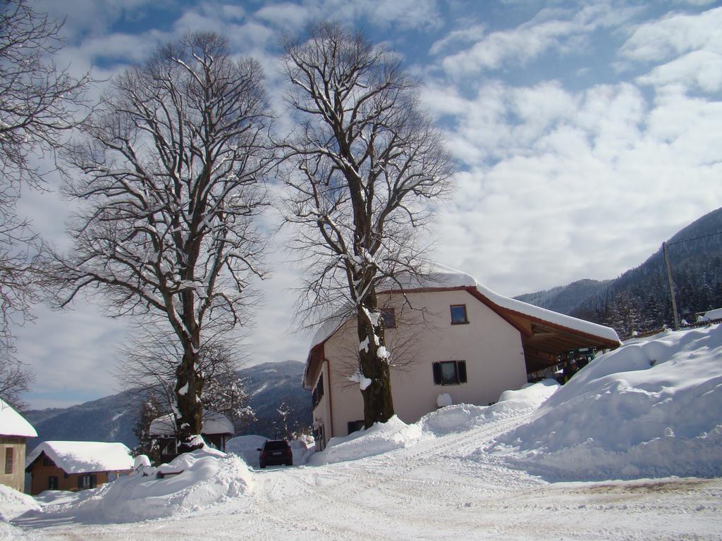 Turisticna Kmetija Toman Vila Gornji Grad Exterior foto