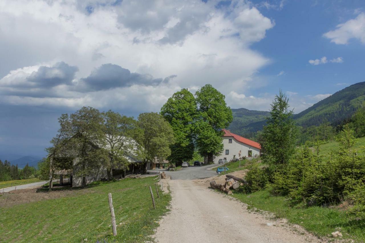 Turisticna Kmetija Toman Vila Gornji Grad Exterior foto