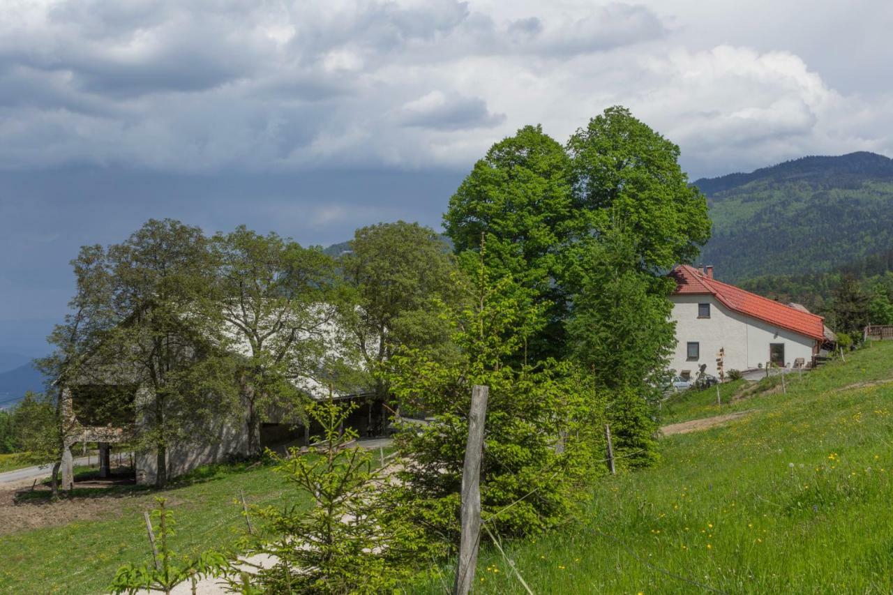 Turisticna Kmetija Toman Vila Gornji Grad Exterior foto