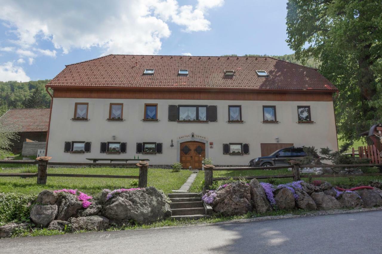 Turisticna Kmetija Toman Vila Gornji Grad Exterior foto